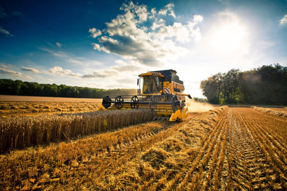 Agricoltura tra fisco e lavoro | Confagricoltura Latina